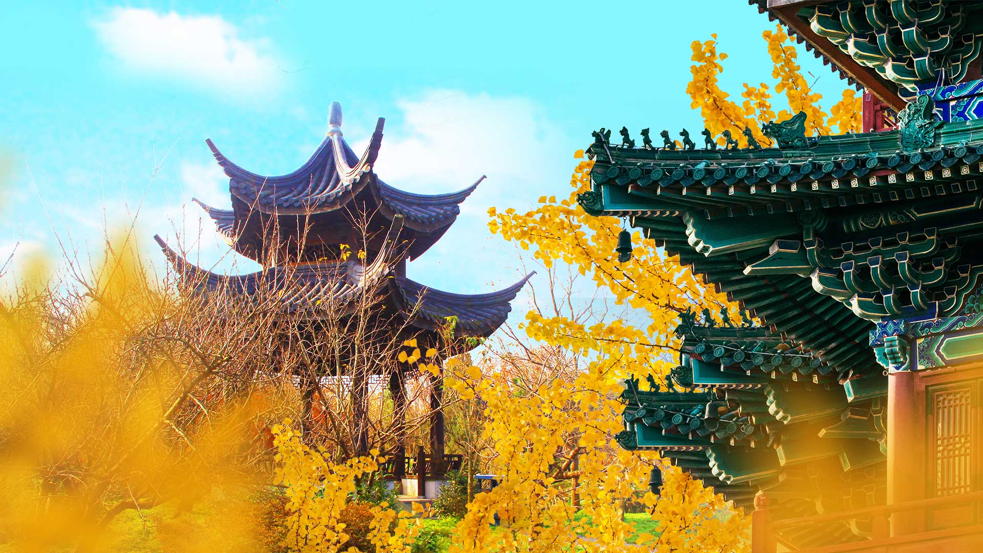 Have a date with Autumn in Nanjing